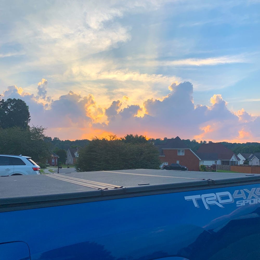 Meet your Posher, Lily!